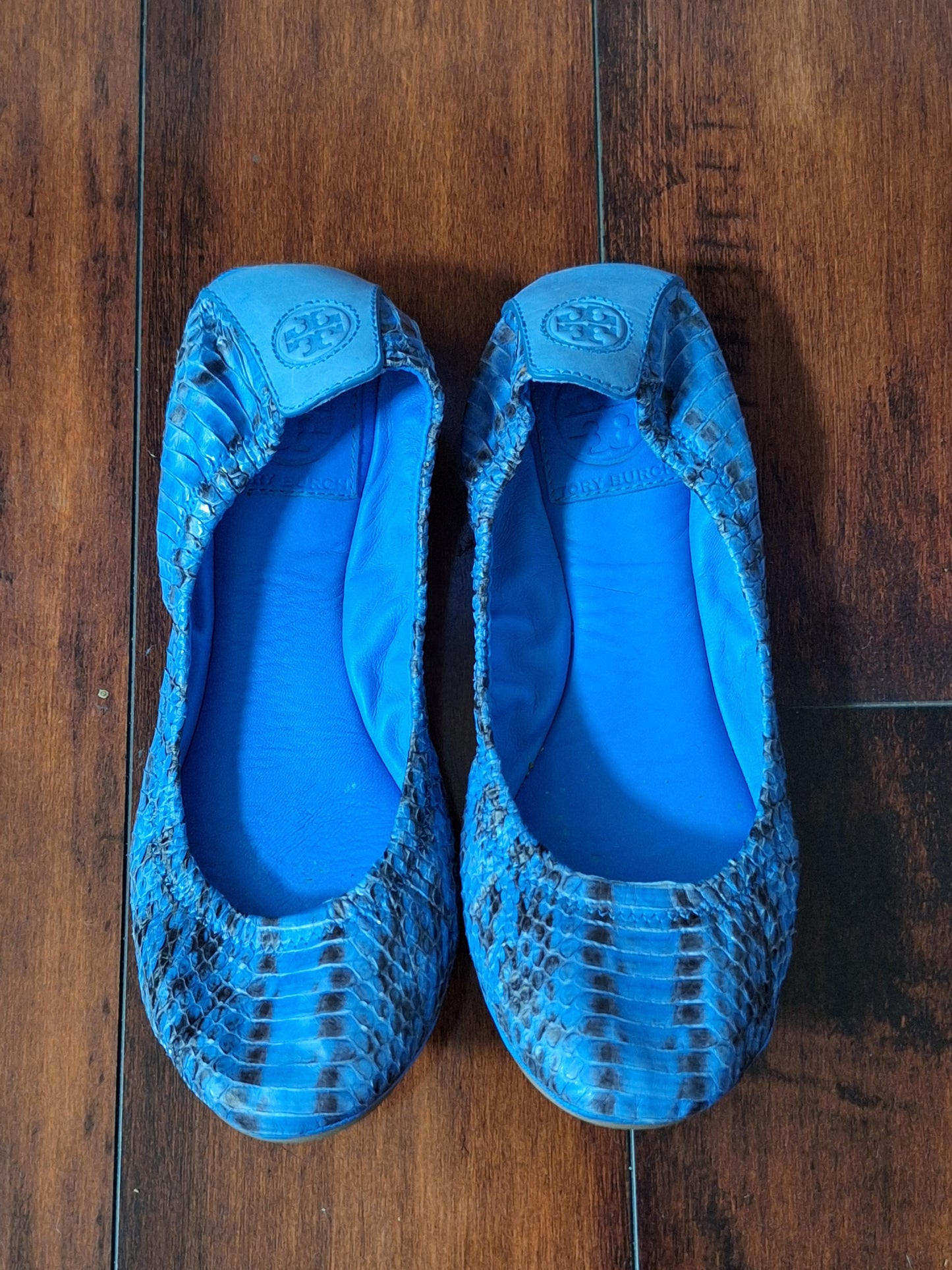 Tory Burch Eddie Blue Snakeskin Pattern Ballet Flats Size 7